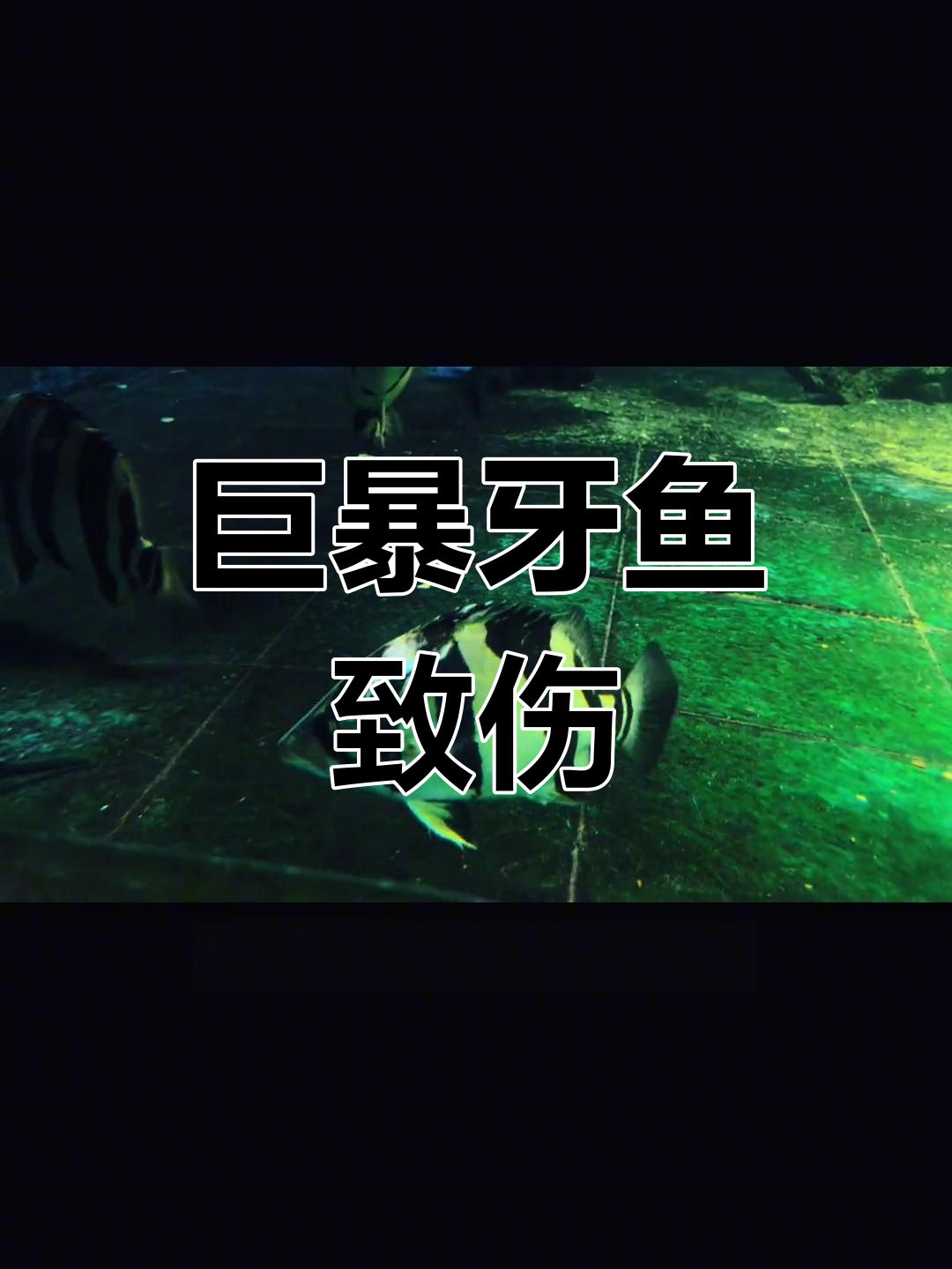 哥伦比亚巨暴牙鱼咬伤事件,凶手锁定!