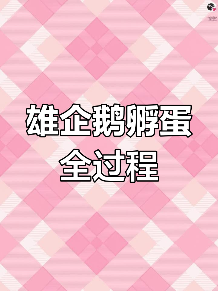 企鹅爸爸如何孵化宝宝