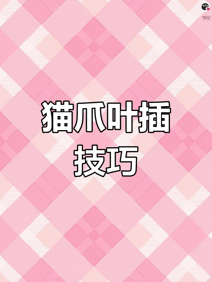 如何让猫爪多肉叶插快速发芽