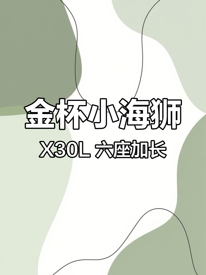 2023款金杯小海狮X30L加长版,六座侧挂设计超实用