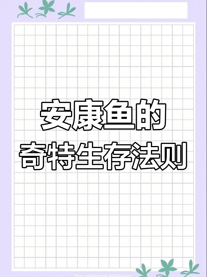 深海中的“妻管严”安康鱼