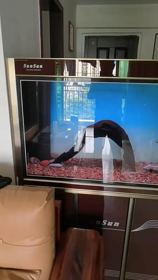 蓝白渐变鱼缸背景贴纸高清水族箱海景贴画珊瑚乌龟缸造景贴纸