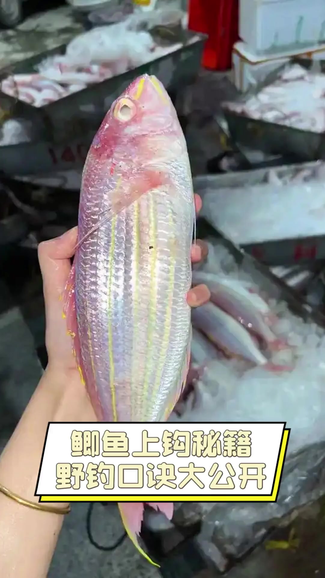 鲫鱼上钩秘籍,野钓口诀大公开