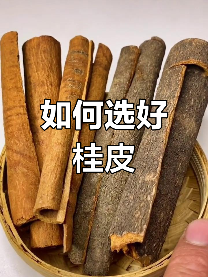 桂皮种类大揭秘,如何挑选优质肉桂