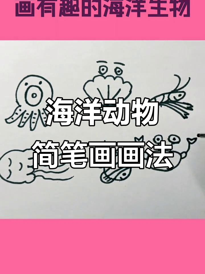 创意海洋生物简笔画,带你一起画海豚、鲸鱼和章鱼
