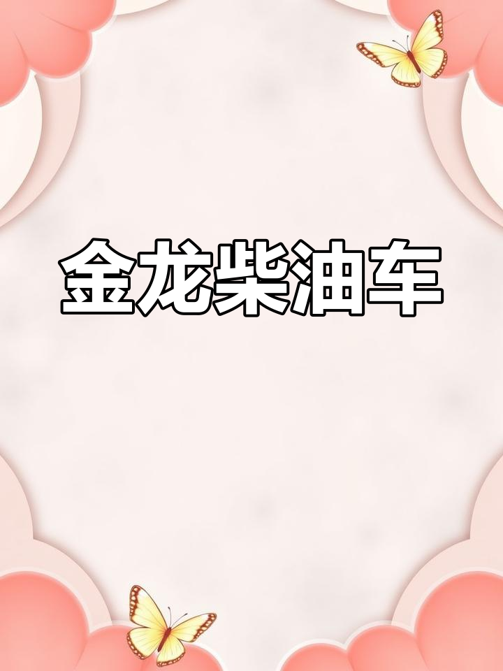 2019年9月,19座金龙柴油车况好真皮座椅非营运