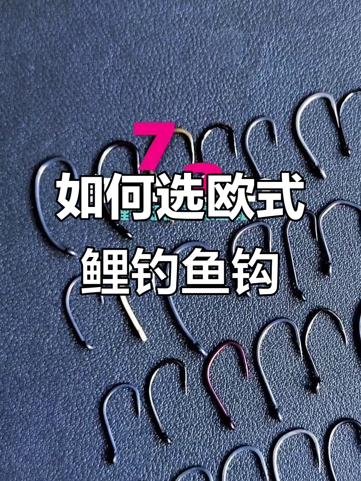 欧式鲤钓钩型选择指南:如何挑选适合的鱼钩
