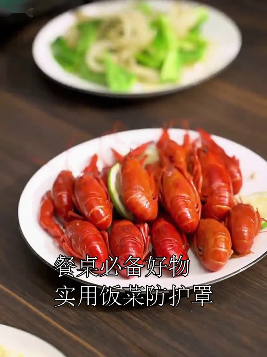 餐桌必备好物实用饭菜防护罩