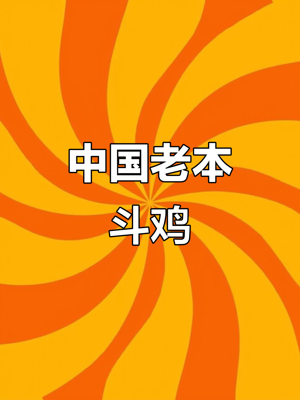 传统中国斗鸡,古老技艺再现风采