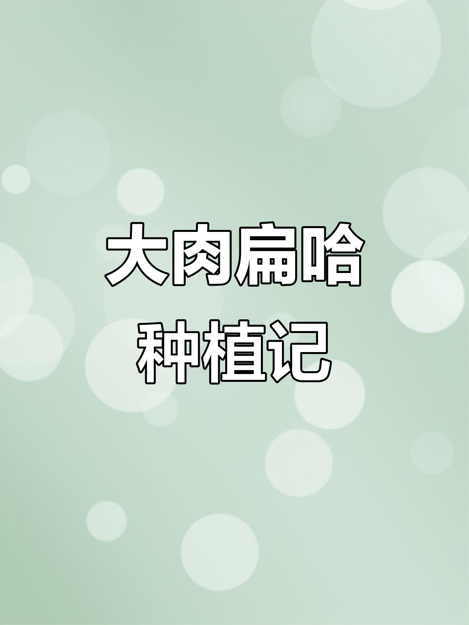 阳台种植大肉扁哈甜芥菜，全程记录生长过程