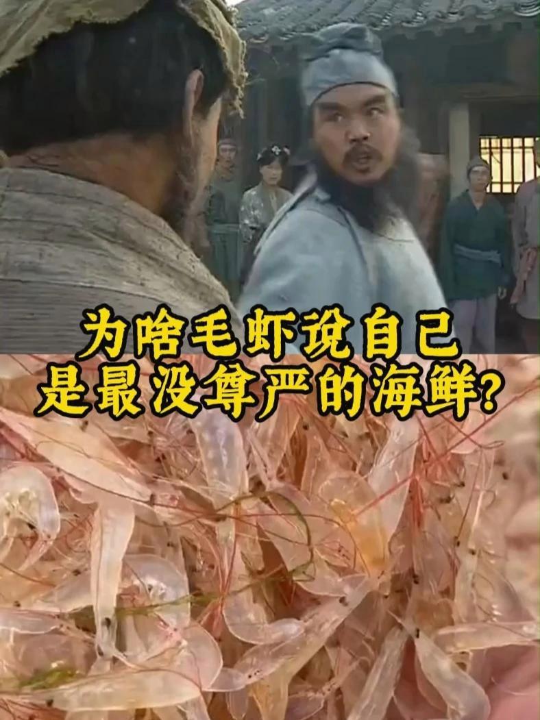 为什么毛虾说自己是最没尊严的海鲜？毛虾