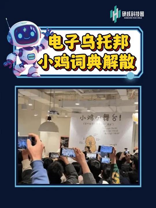 被大厂抄袭的小鸡词典,败诉解散了创业小鸡词典 维权