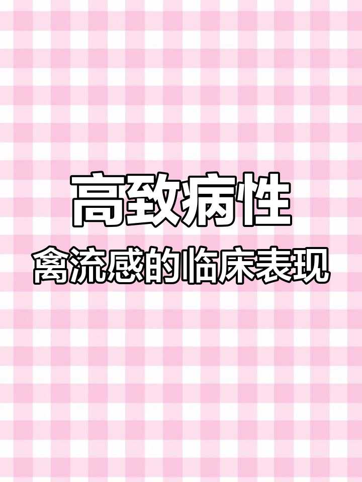禽流感症状全解析:从体温升高到失明,鸭群如何应对