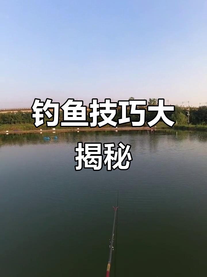 钓青鱼关键在于打窝,勤补饵料才能吸引更多鱼儿