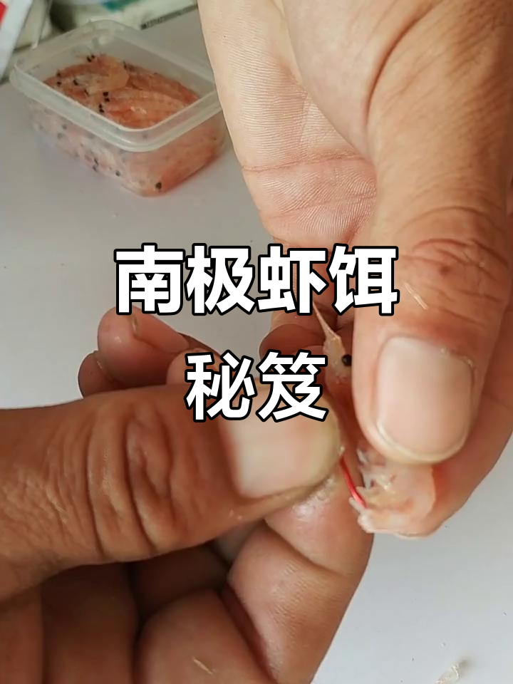 南极虾饵轻盈自然,吸引多种鱼类,提升钓鱼成功率