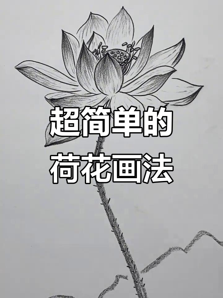 简单步骤教你画荷花,零基础也能轻松上手