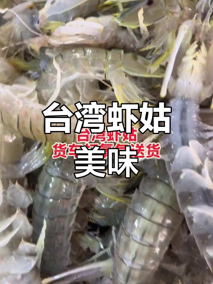 台湾大皮皮虾,鲜美无比!