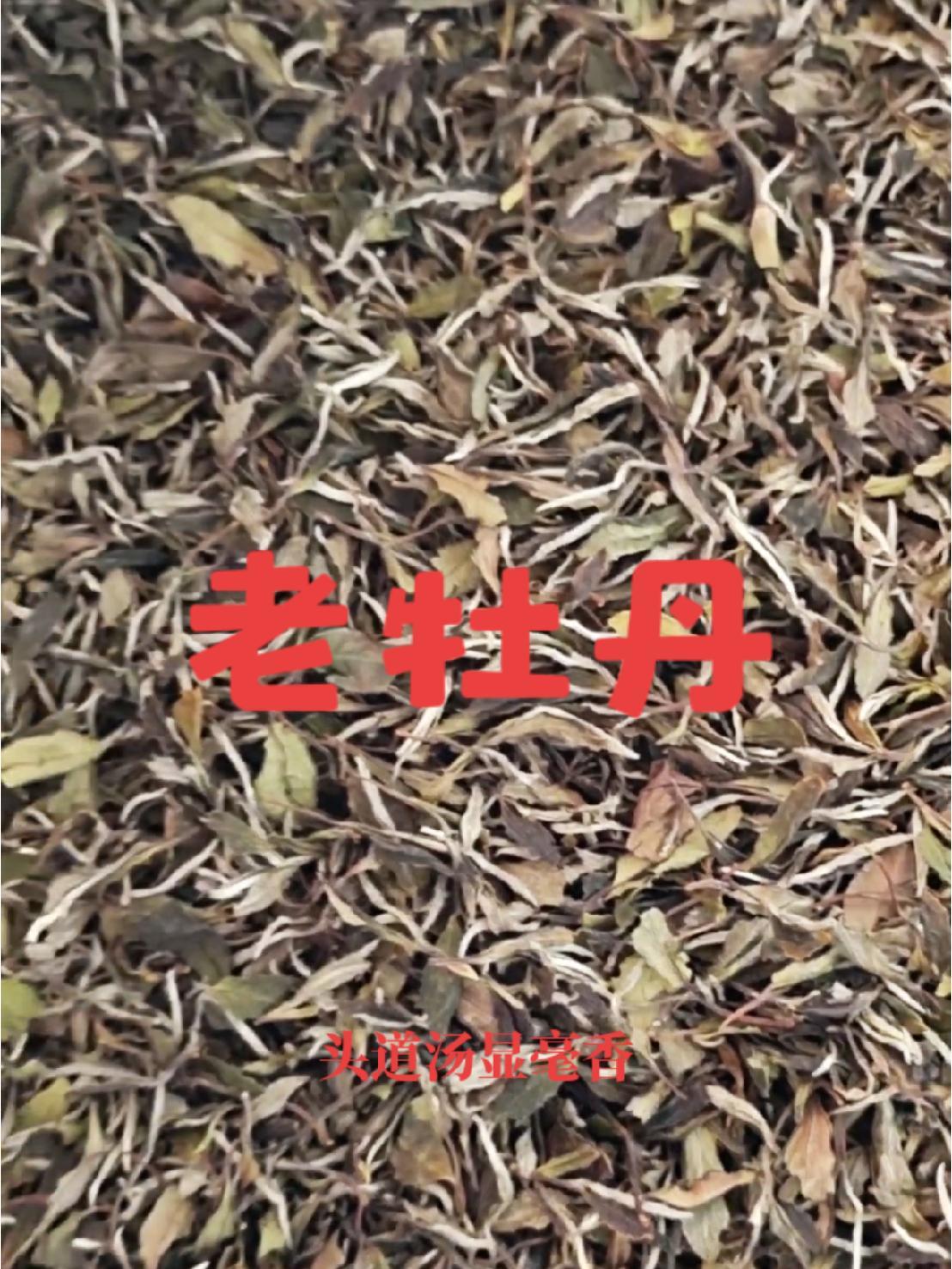 卖茶有多难?听听我的文案,就知道有多不简单!福鼎白茶 源头工厂 白牡丹 健身茶人 茶叶搬运