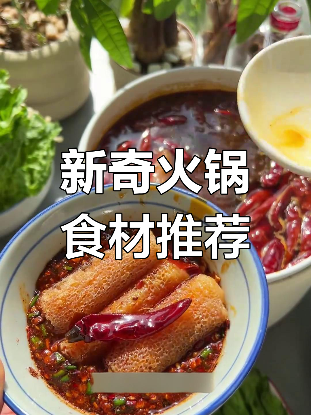 火锅新食材大揭秘!潮汕牛肉饼、菱角菜,吃上一口停不下来
