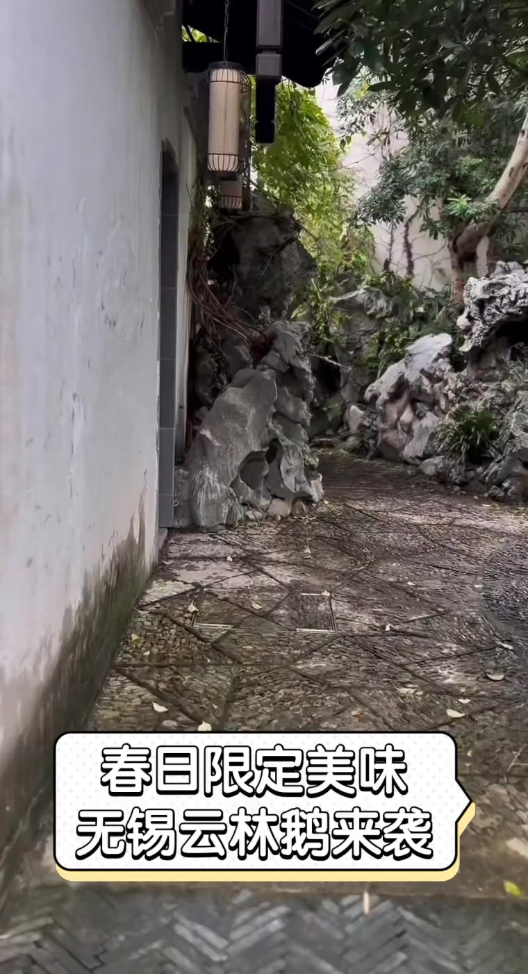 春日限定美味,无锡云林鹅来袭