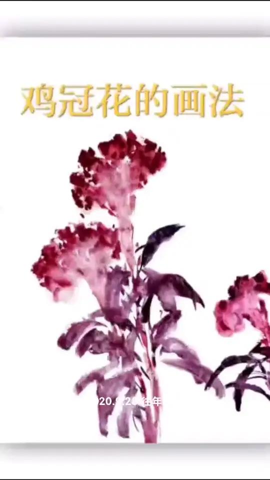 国画写意花鸟鸡冠花的画法 手绘 每日一画 画画 一起学画画 国画