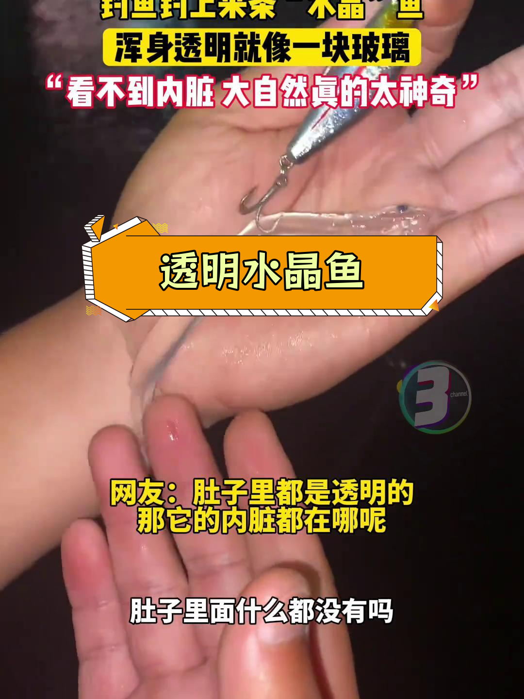 钓鱼钓到透明水晶鱼,内脏全无令人惊叹