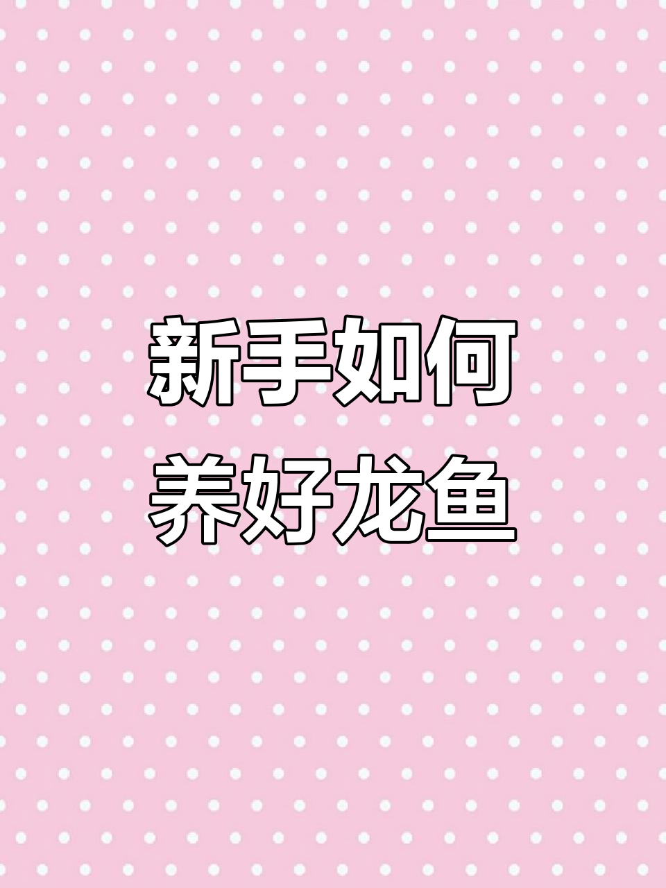 新手养鱼全攻略:从开缸到避免死鱼的三大步骤