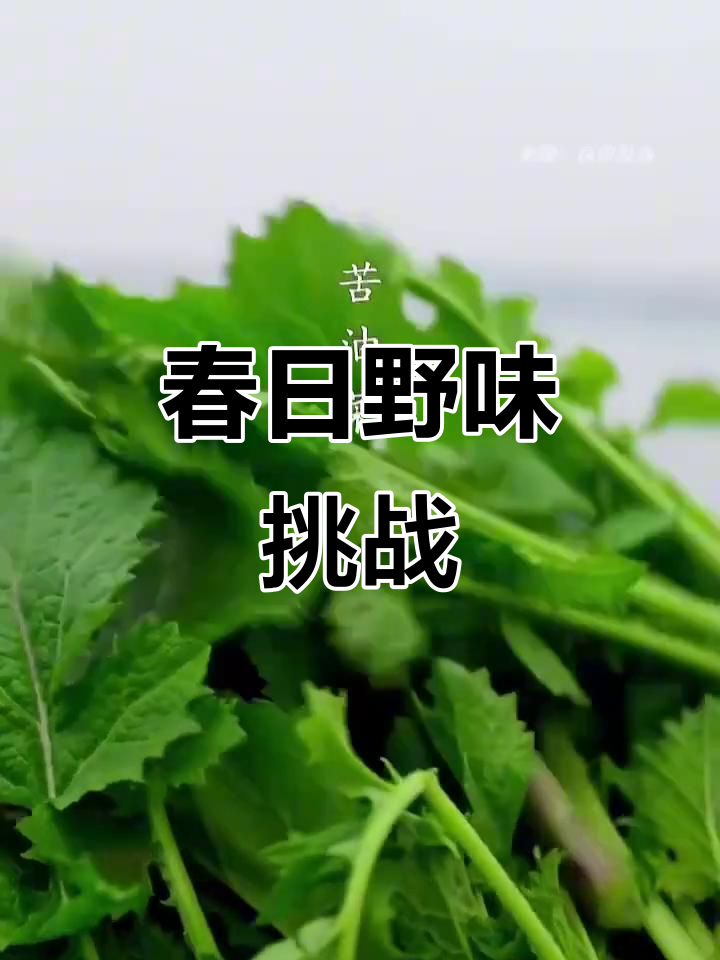 南京春季野菜大比拼,你尝过哪些独特美味?