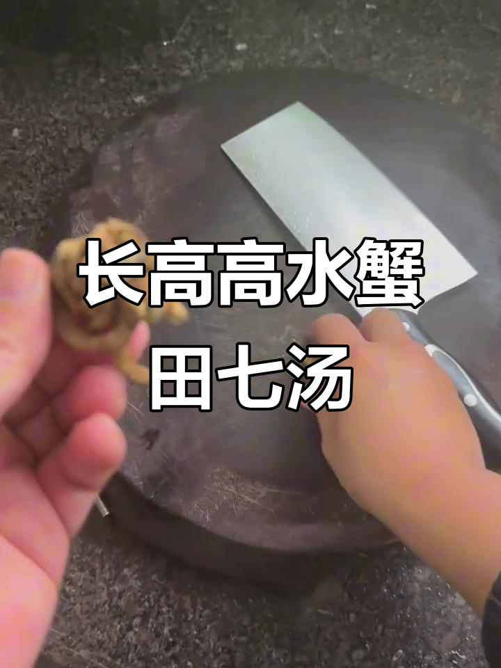 青少年必试长高汤,青蟹田七汤助力成长
