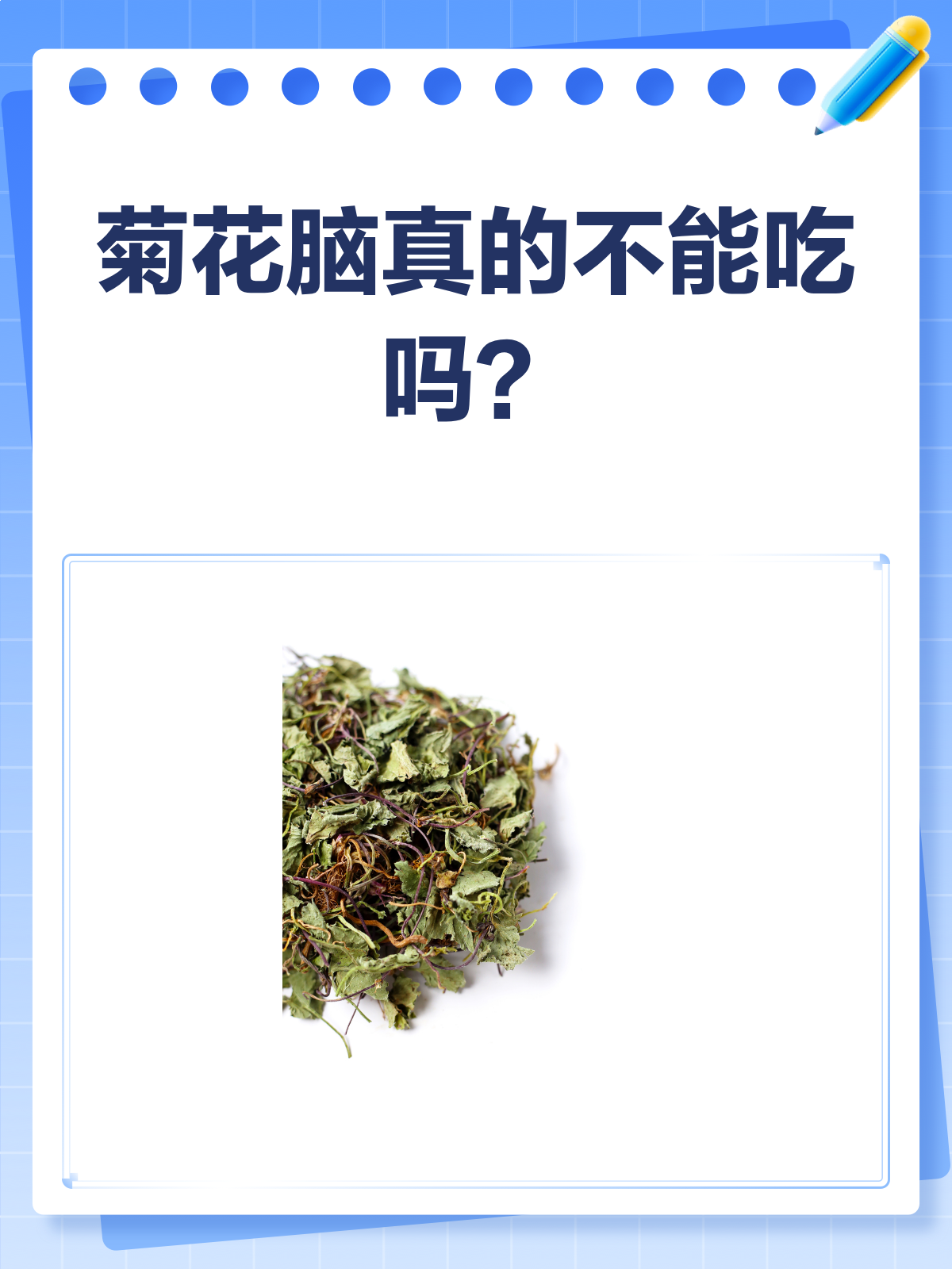 菊花脑,你真的吃对了吗?