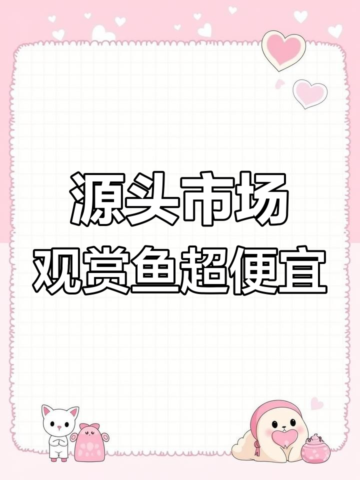 一手市场观赏鱼进货,价格惊人!白起招财楼只需25元