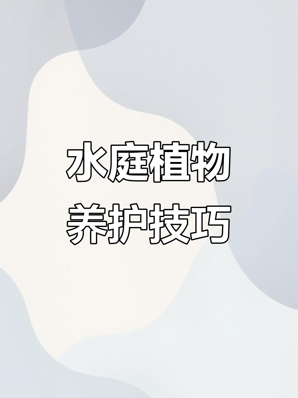 庭院鱼池植物选择指南:光照不足也能养好水生植物