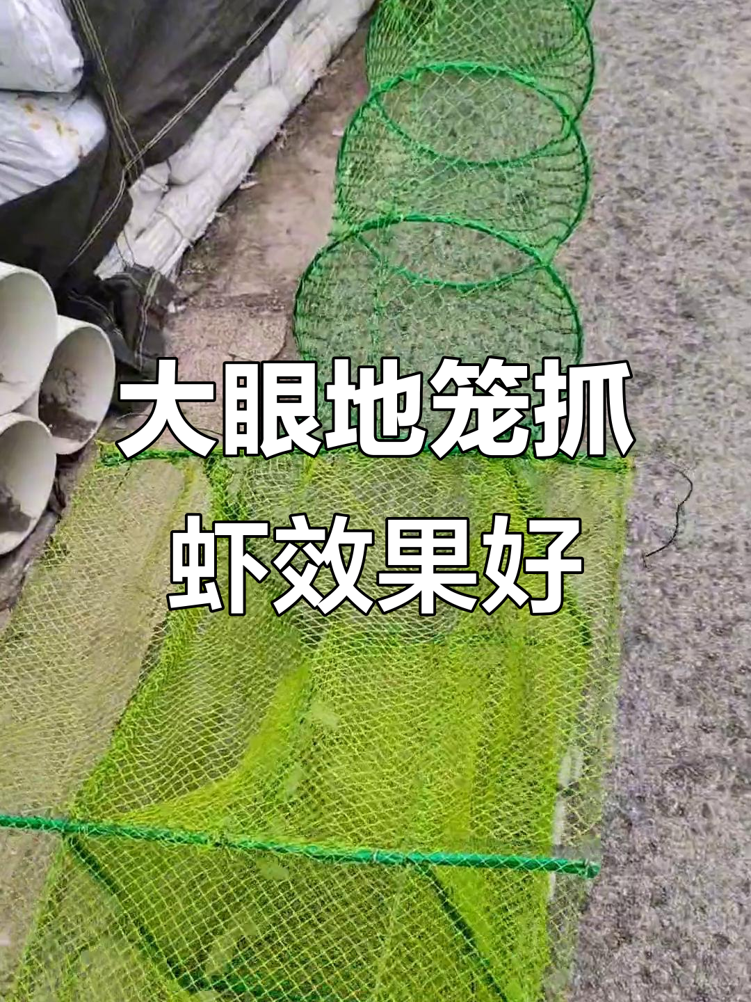 定制大眼地笼，捕龙虾效果惊人！