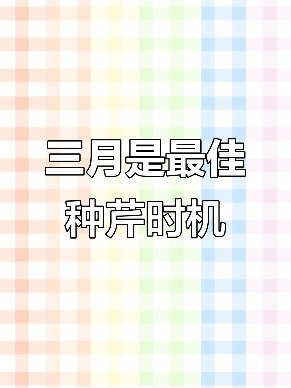 春季三月份最适合种植芹菜,北方南方时间一致