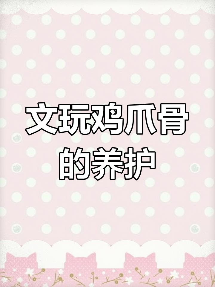 鸡爪骨如何保养包浆?教你盘玩技巧与护理方法