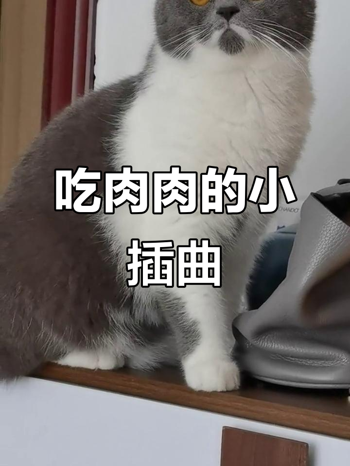 宝贝吃肉肉的搞笑时刻,妈妈追着喂饭笑翻了