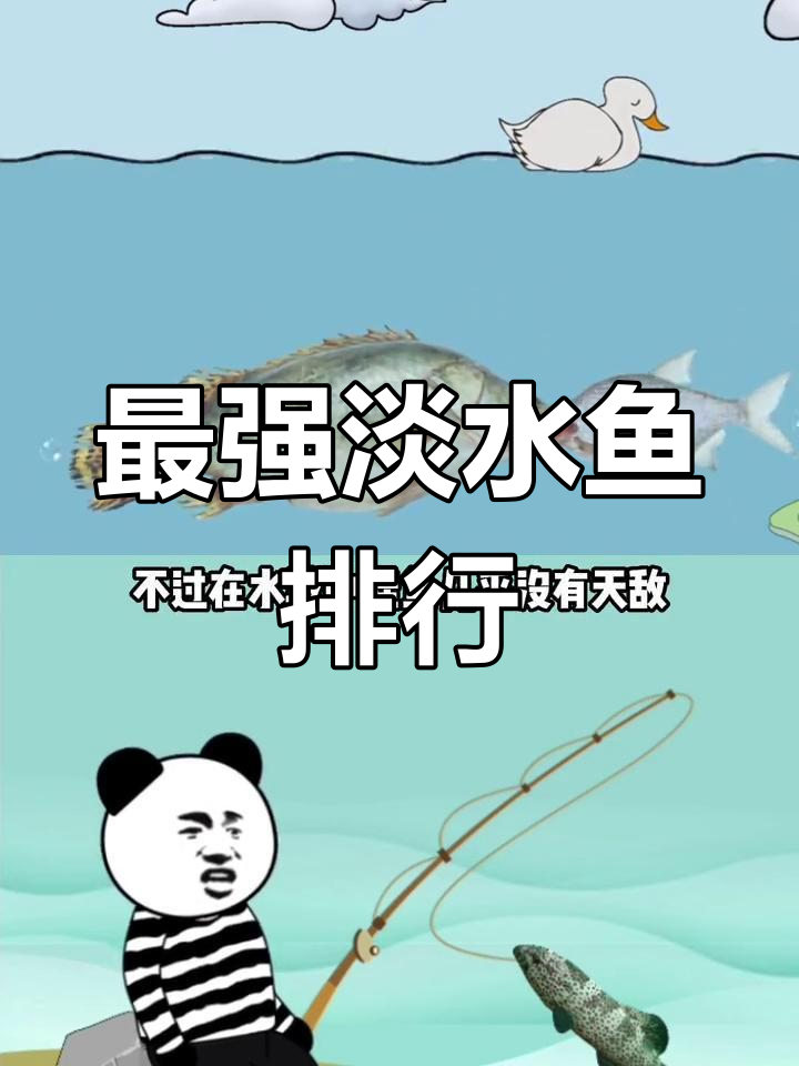 国内十大最凶猛淡水鱼排行榜