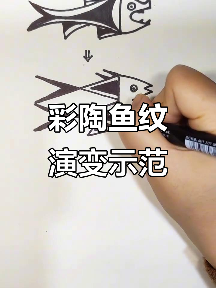 彩陶鱼纹从写实到抽象的演变过程