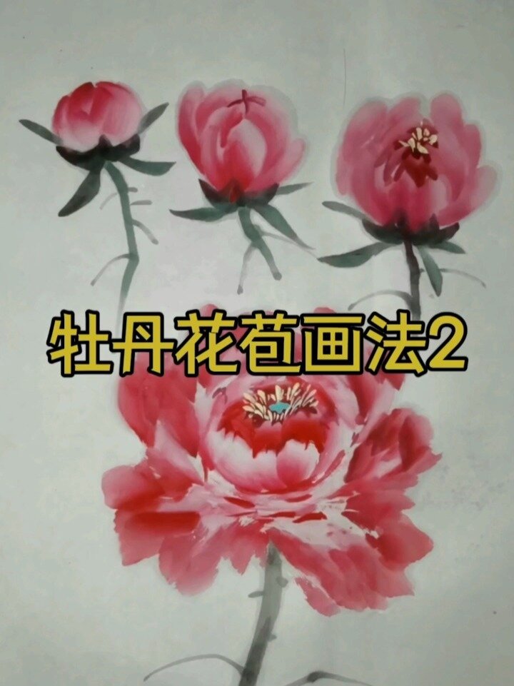 牡丹花苞的画法2