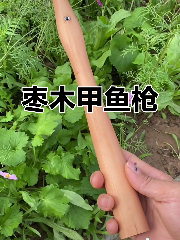 枣木手柄甲鱼枪,定制服务