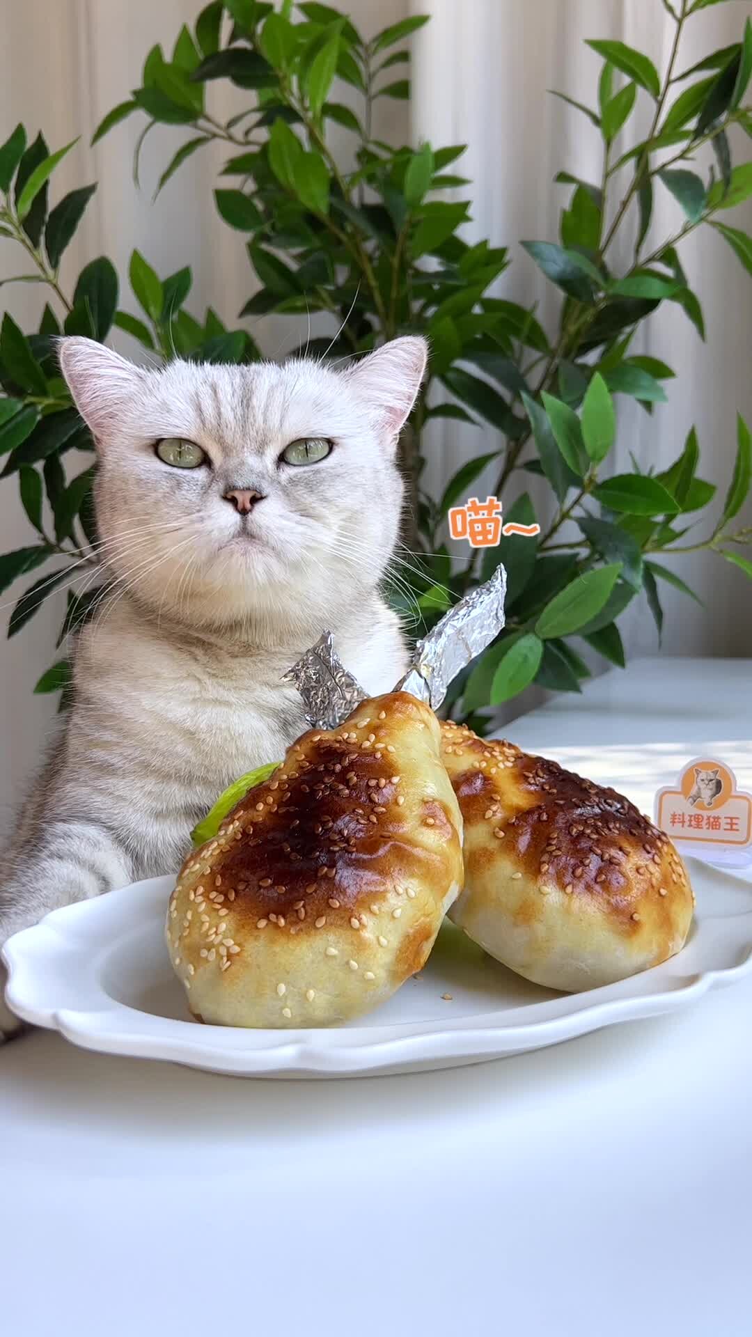 猫王:边做边流口水的新疆羊排烤包子,绝绝子