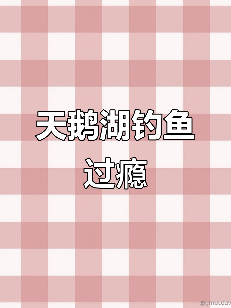 涞水天鹅湖夜钓小公鱼，收获满满！