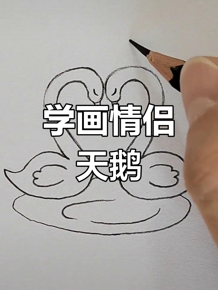 情侣天鹅简笔画,轻松学会画可爱小动物