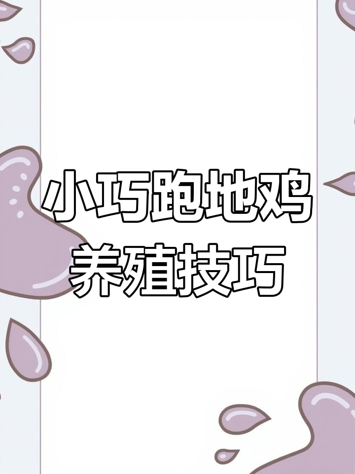 散养鸡小妙招:简单鸡舍设计,防黄鼠狼偷袭更安全