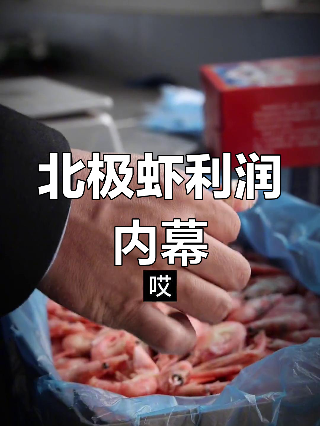北极虾价格揭秘:黑头与标签问题