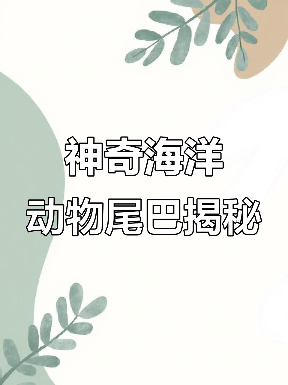 海洋里的奇特尾巴,毛毛鱼和小丑鱼的秘密