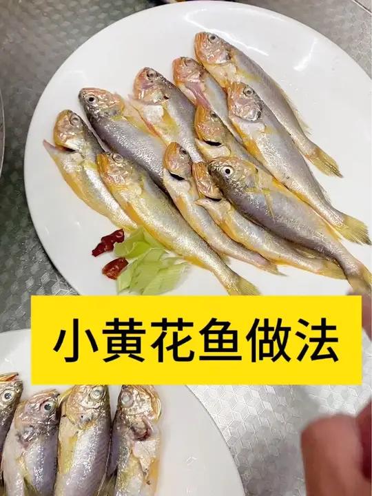 小黄花鱼做法,黄花鱼怎么做,一般都是油炸和酱焖,最近还新出了干煸和烧烤。还有什么做法呢?海