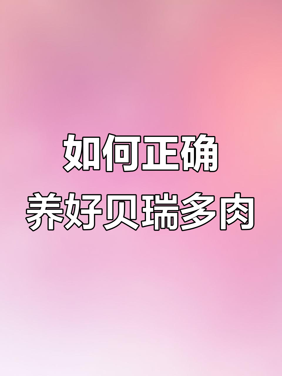 贝瑞多肉养护全攻略:浇水、土壤、光照三大要素