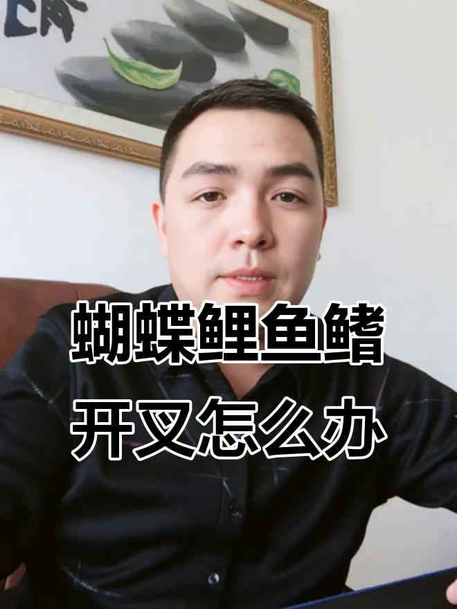 金鱼蝴蝶鲤鱼鳍开叉原因分析，水质问题不容忽视