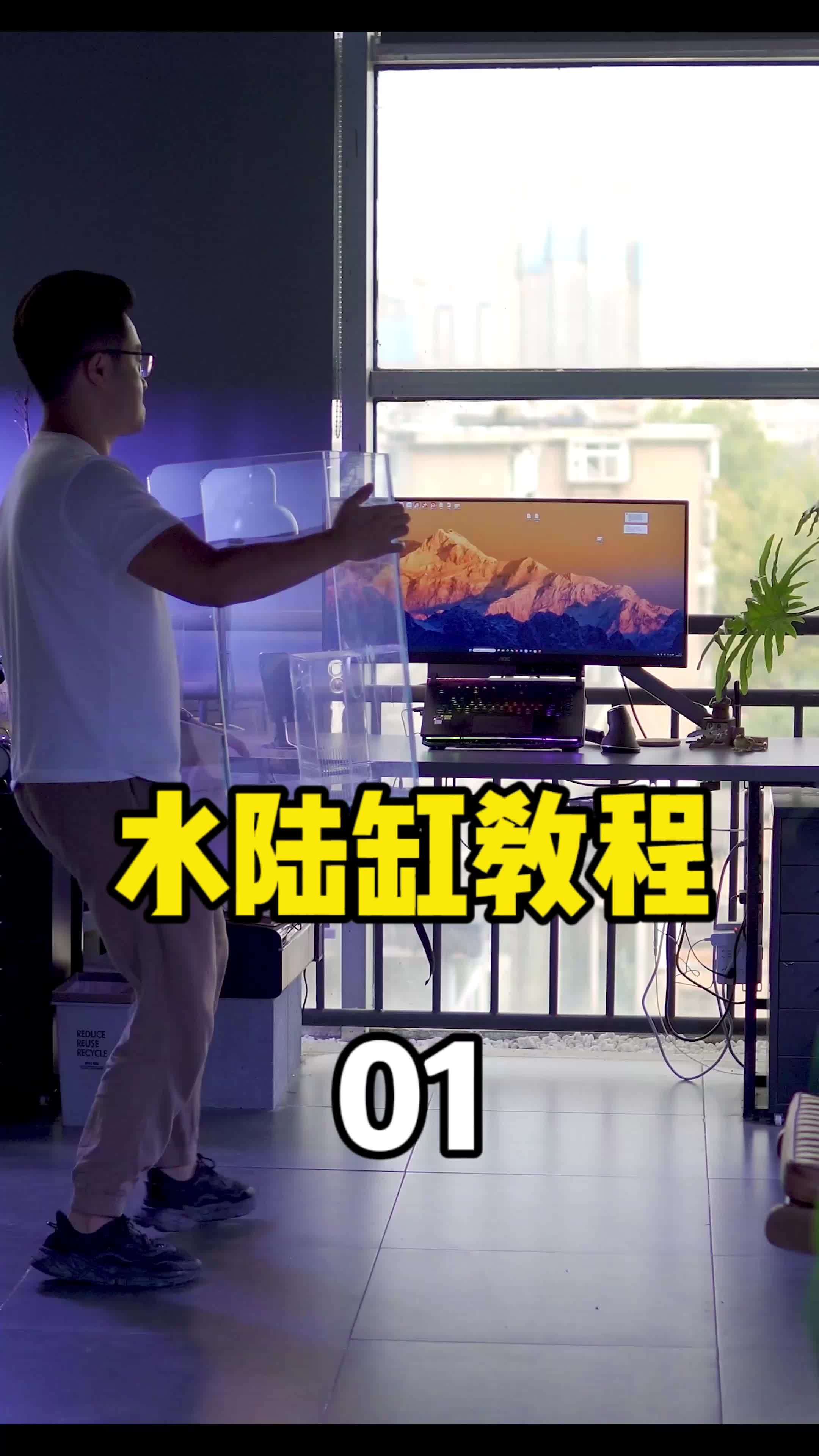 一个不大不小的桌面水陆缸造景教程来了,纯纯的干货,就是一期肯定讲不完哈哈哈 水草缸 水陆缸